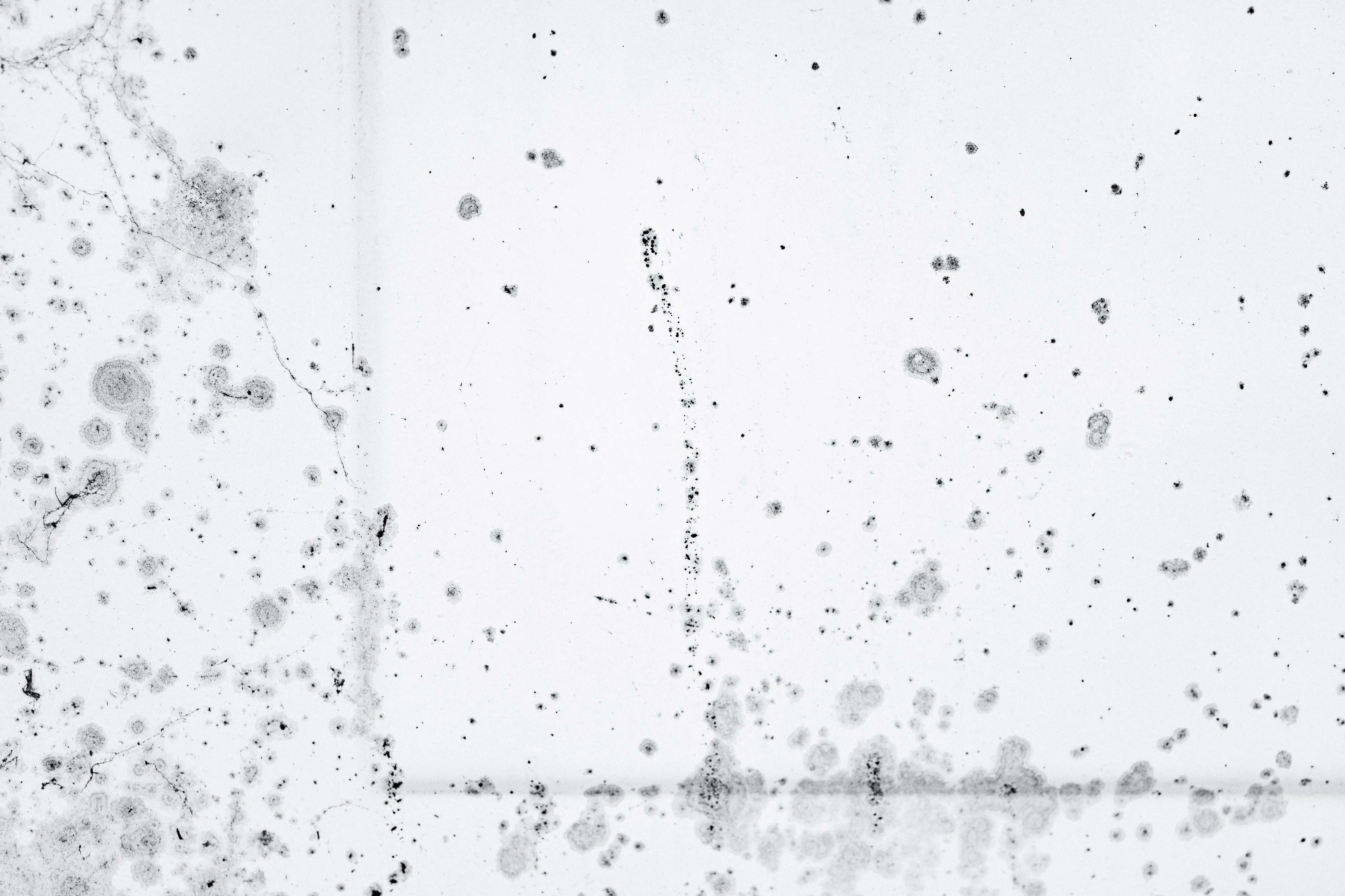 Mold Inspection & Air Testing