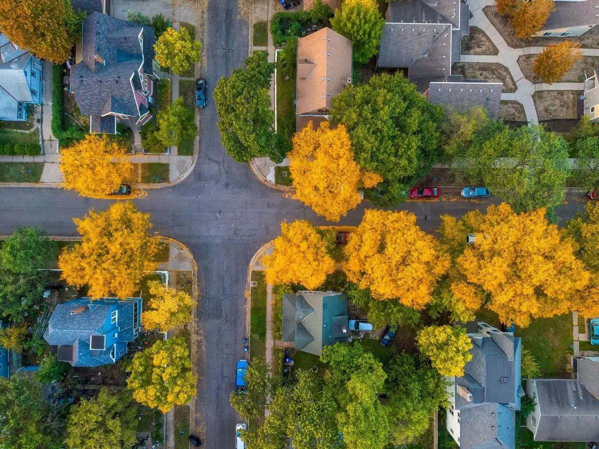 Aerial view of an older residential neighborhood with street trees turning yellow in the fall.