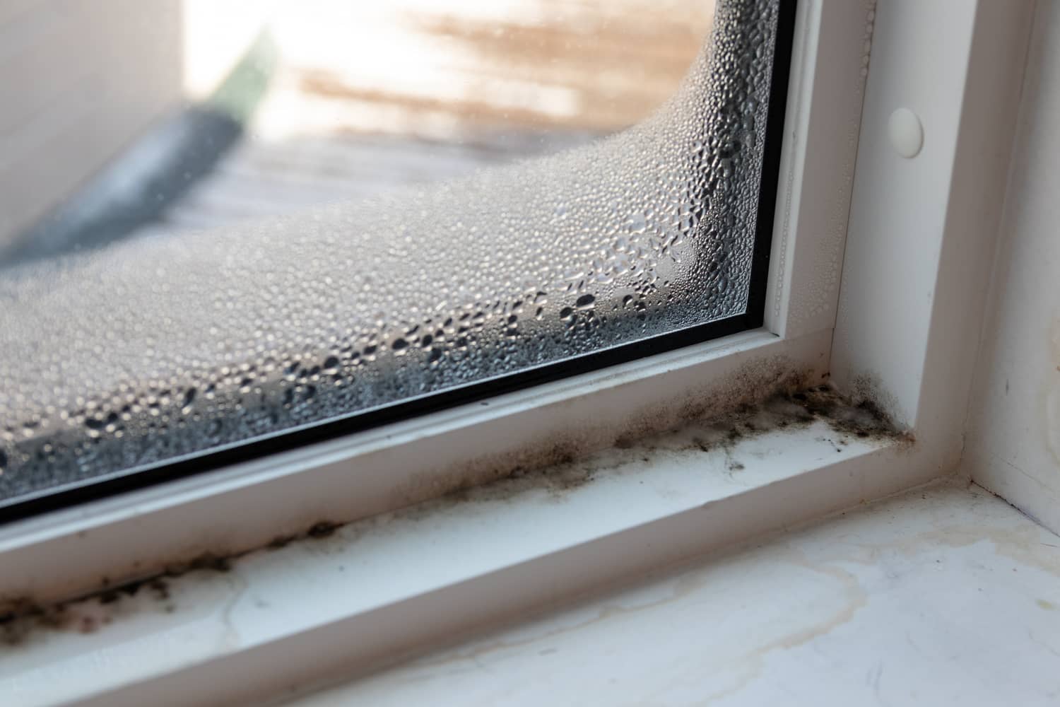 Mold on a window sill caused by a humidifier